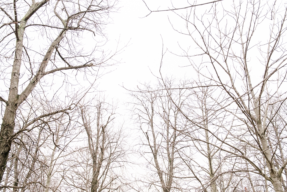 Paris012016_GOOD-9