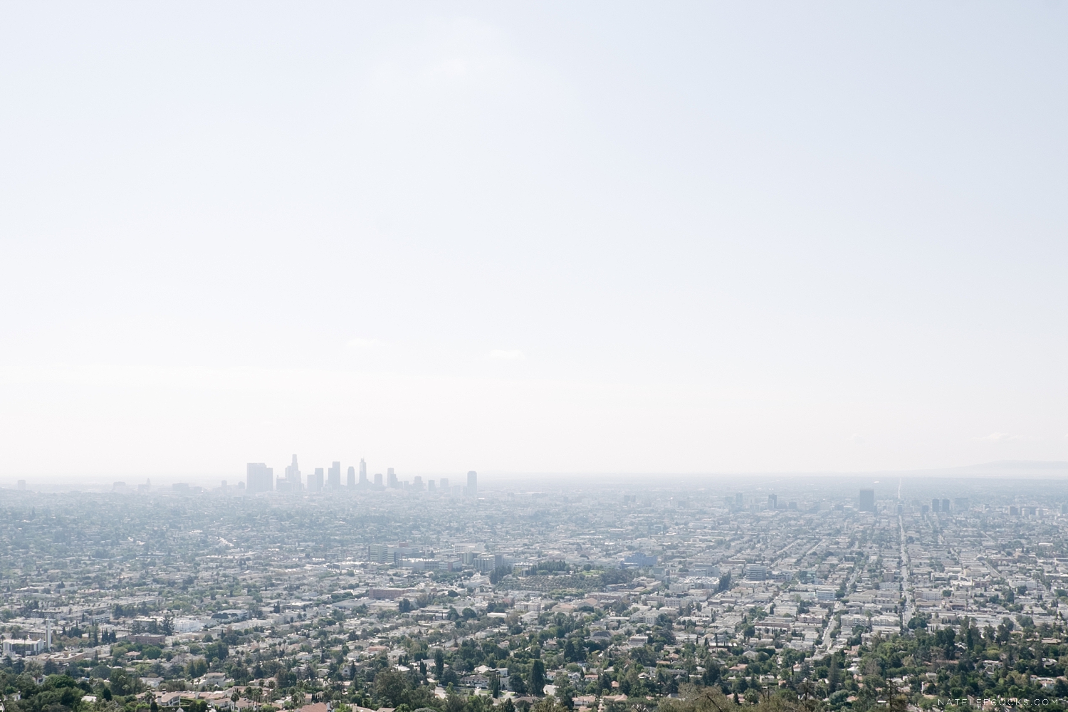 Los Angeles Natelee Cocks